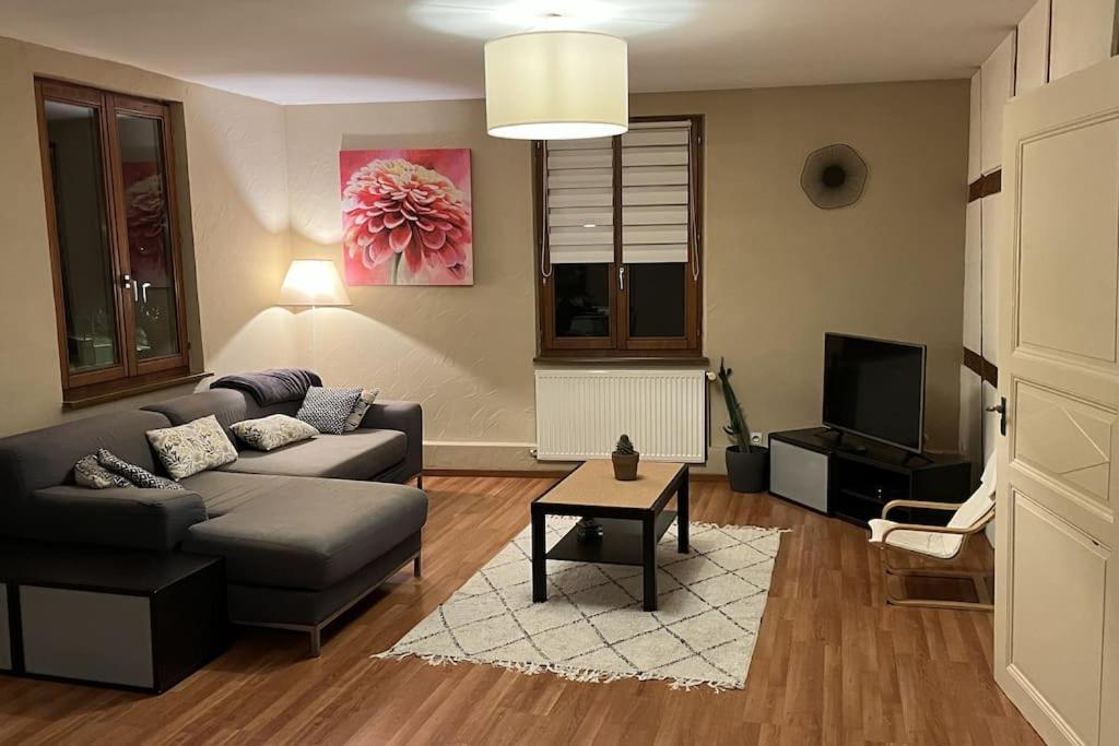 Grand Appartement A Barr Εξωτερικό φωτογραφία